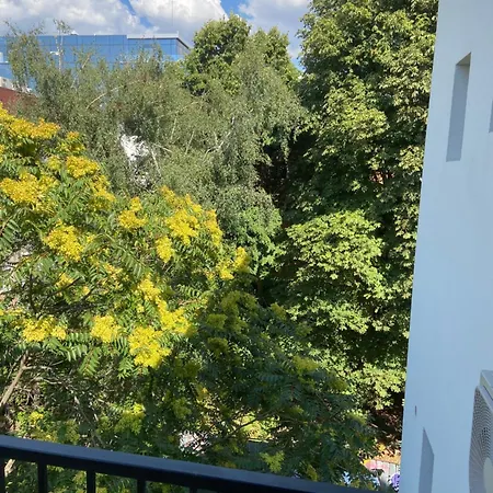 уютно кътче 1 Sofía