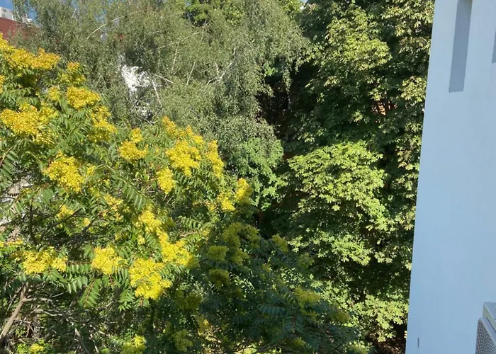 уютно кътче 1 ソフィア